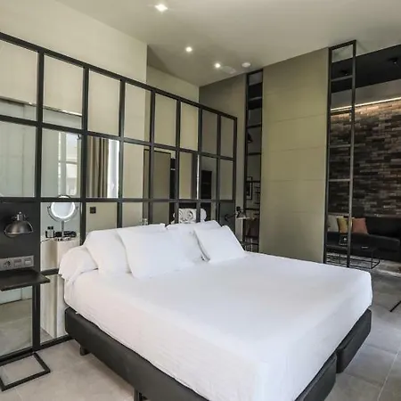 Ho Puerta De Purchena By Olivencia Apartment Almeria